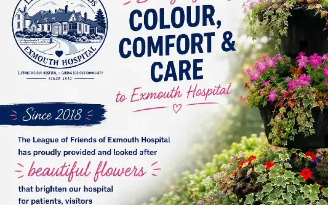Bringing Colour, Comfort and Care to Exmouth Hospital